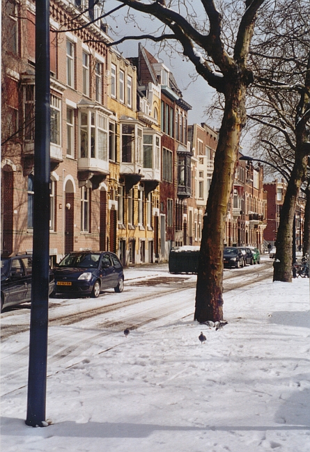 3_WinterlichesRotterdam_gross